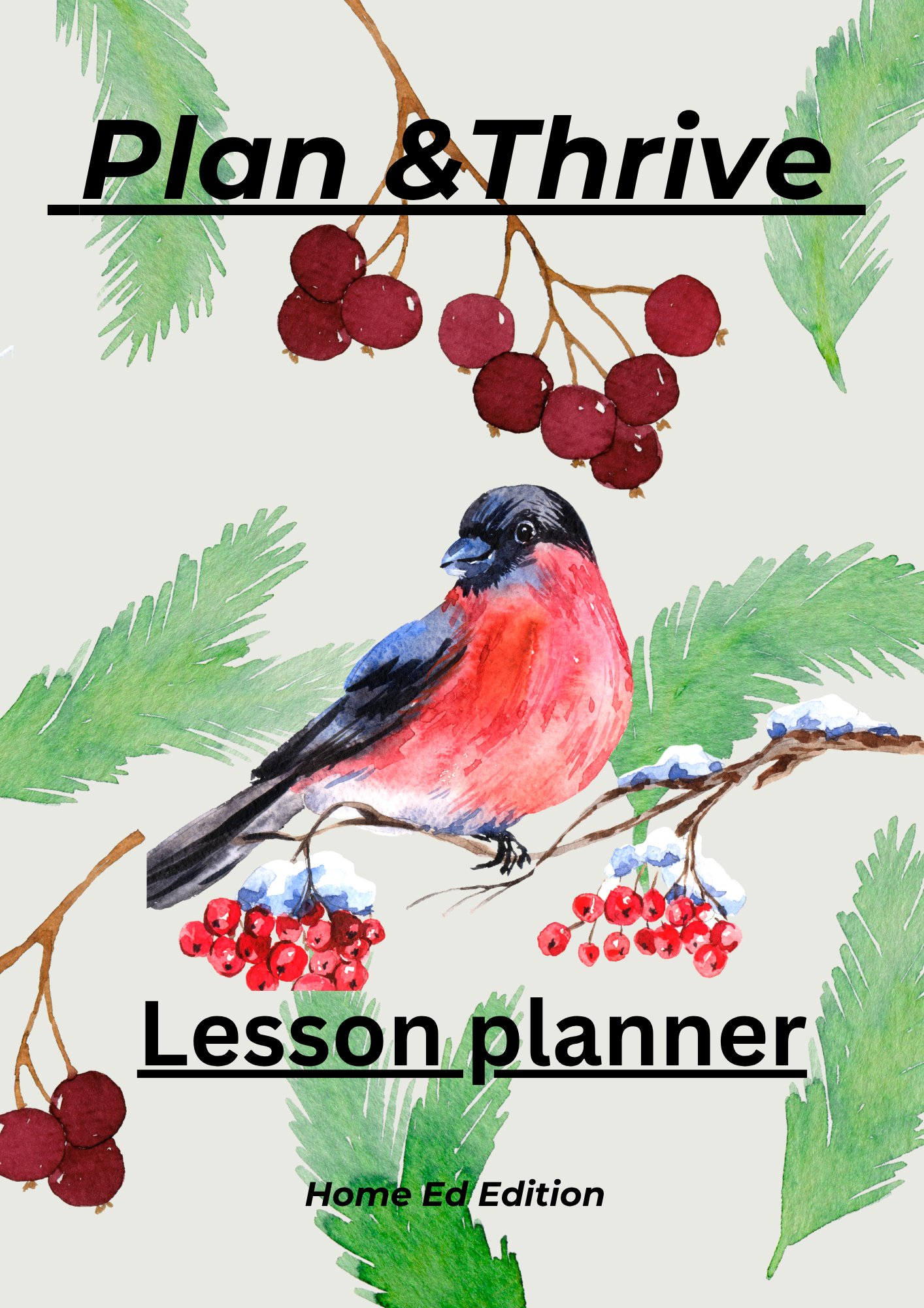 Plan & Thrive — 1-Month Home Ed Lesson Planner (Winter Edition)
